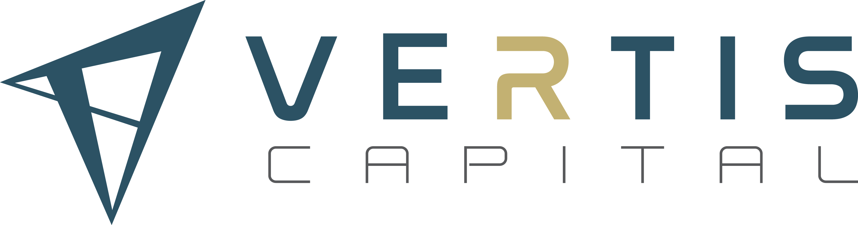 Vertis Capital